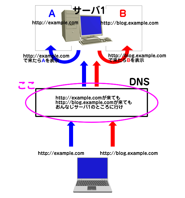 DNS